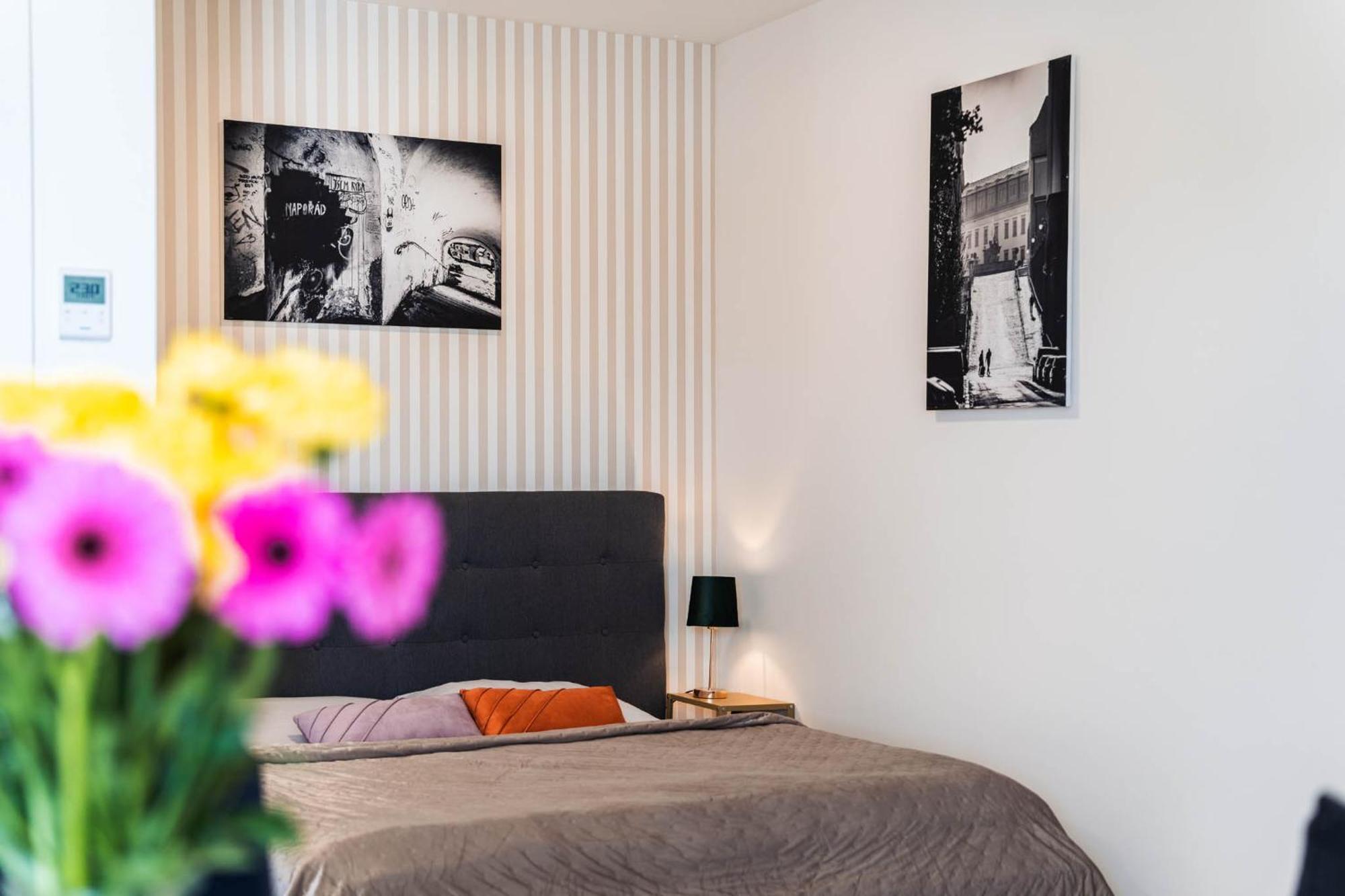Silvie Apartments - Wolkerova Оломоуц Екстер'єр фото